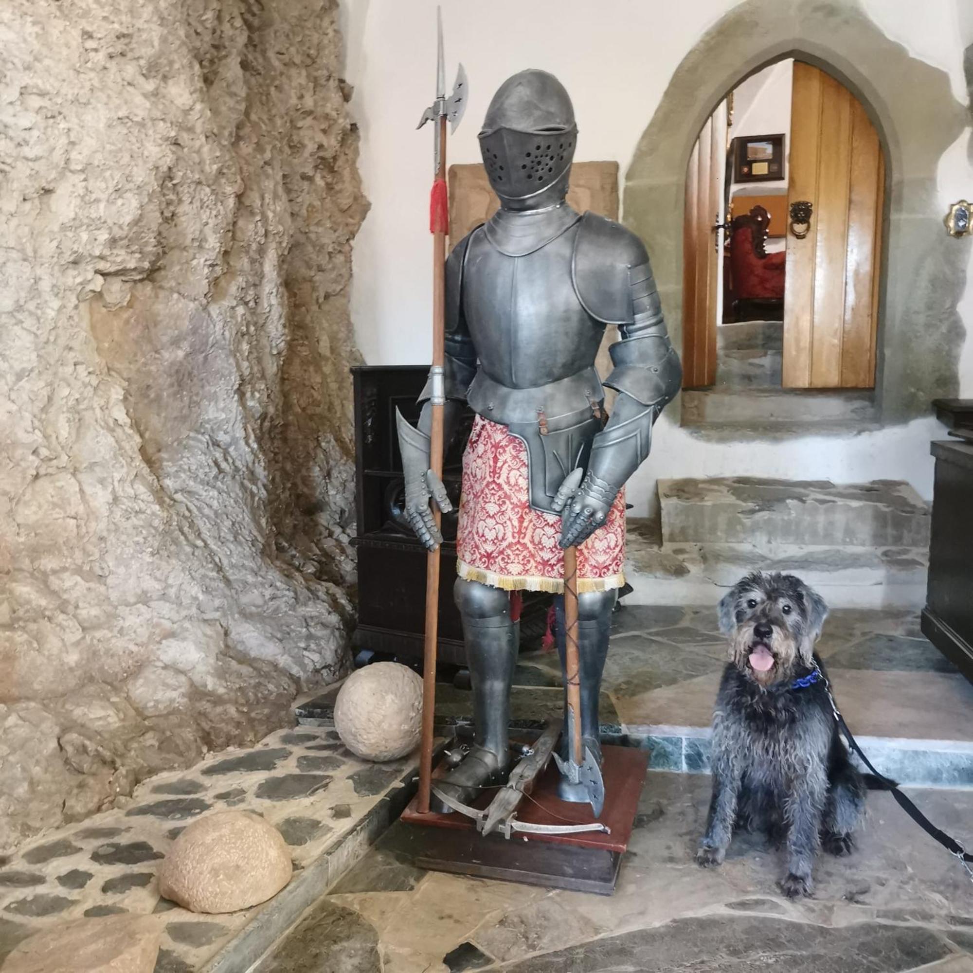 Burg Hermannstein - Monks Room Wetzlar Ngoại thất bức ảnh
